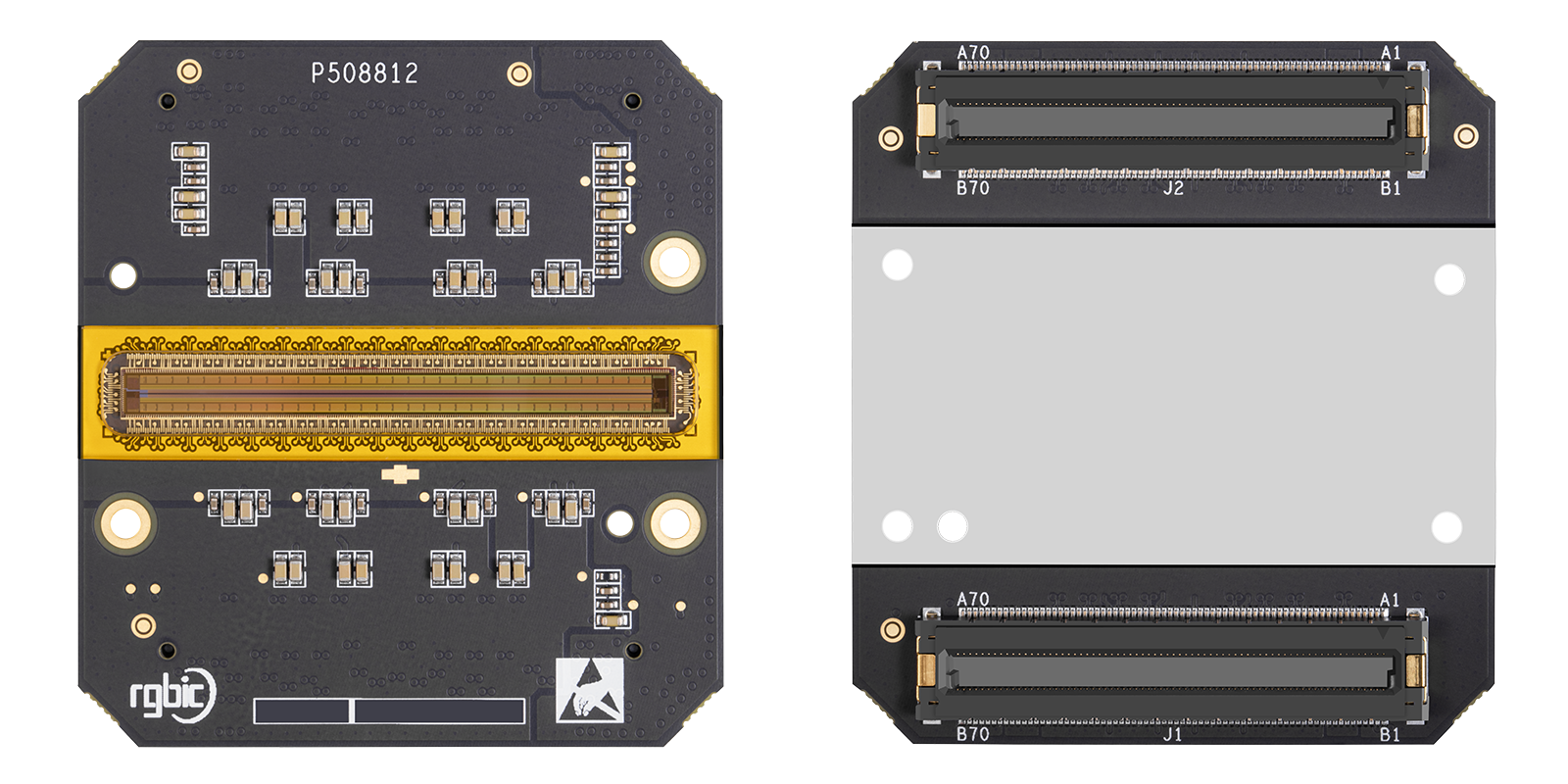 P508812_front+back.png